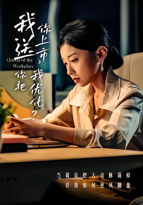 我送你上市你把我优化