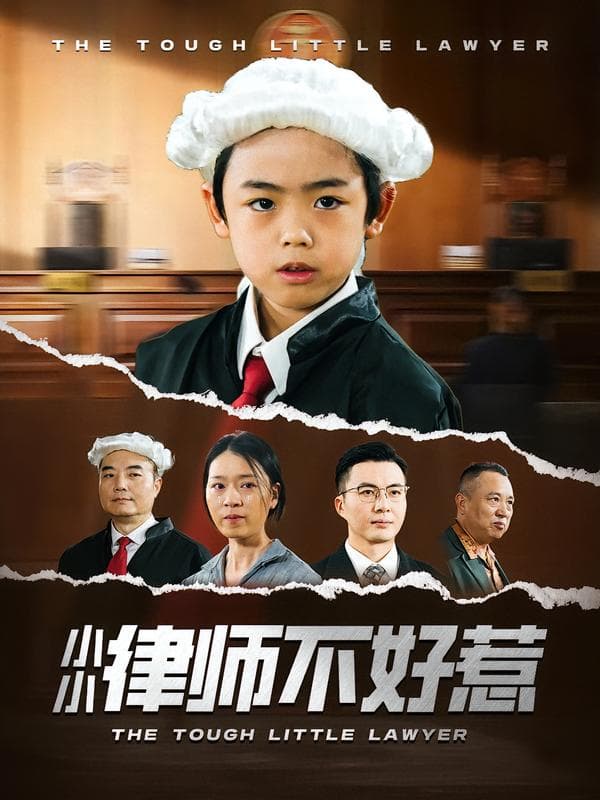 小小律师不好惹
